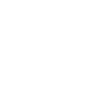 PepsiCo